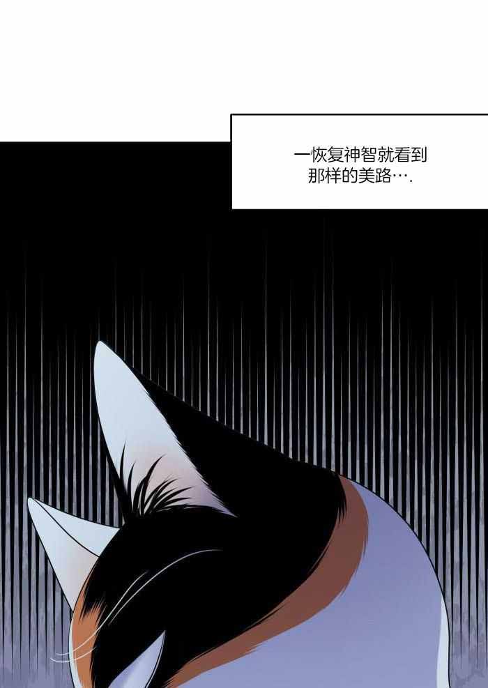 蓝色计划在哪里能看漫画,第70话1图