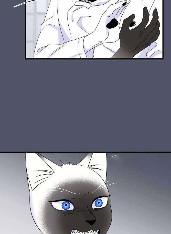 蓝色计划漫画,第82话2图