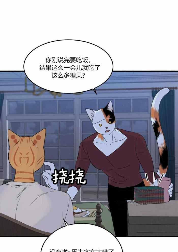 蓝色计划在哪里能看漫画,第70话1图