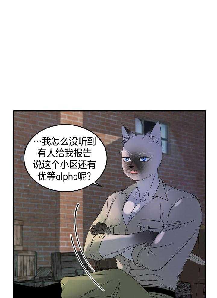 蓝色计划漫画,第30话1图