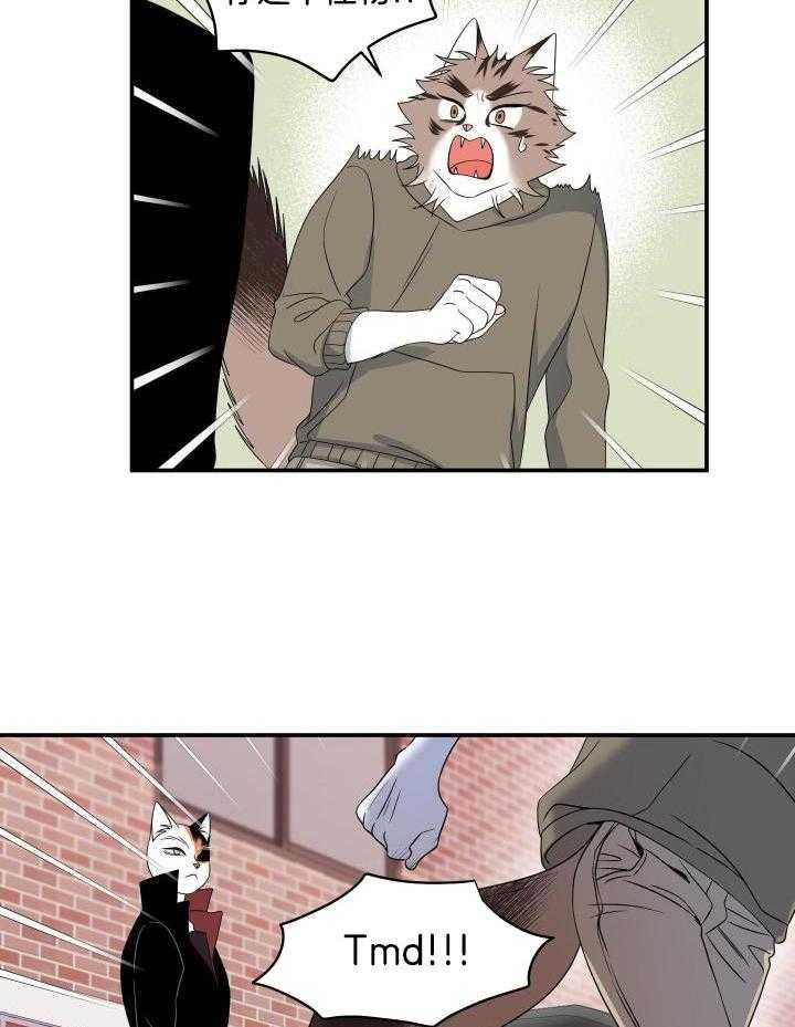 蓝色计划漫画,第27话2图