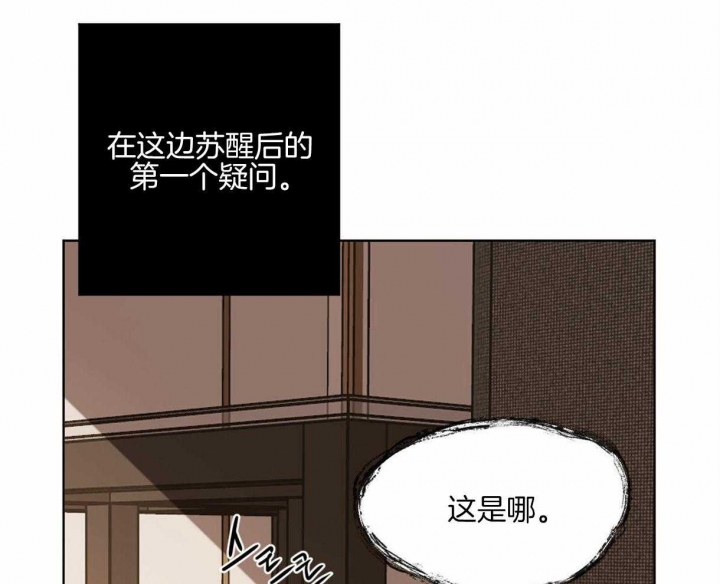 十大冷血动物排名漫画,第12话1图