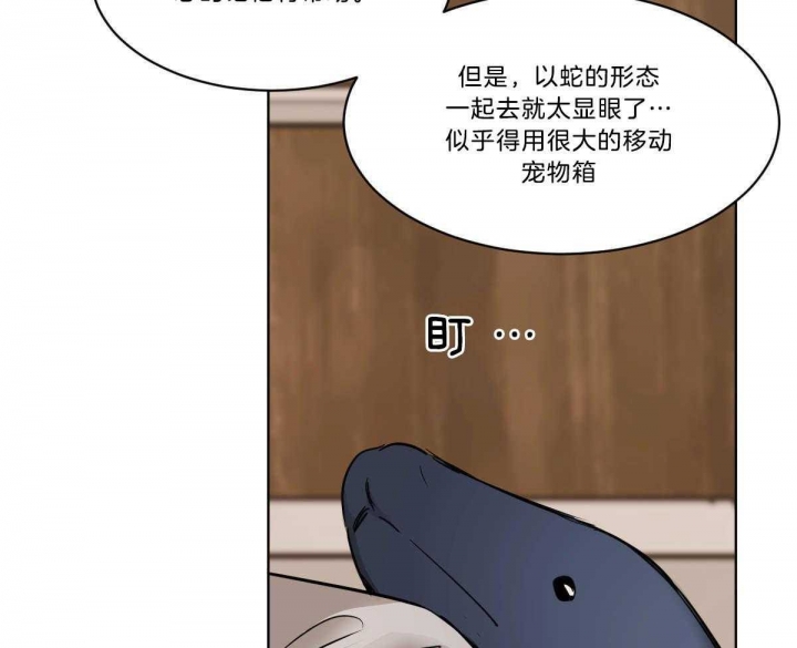 冷血动物合集漫画,第37话1图