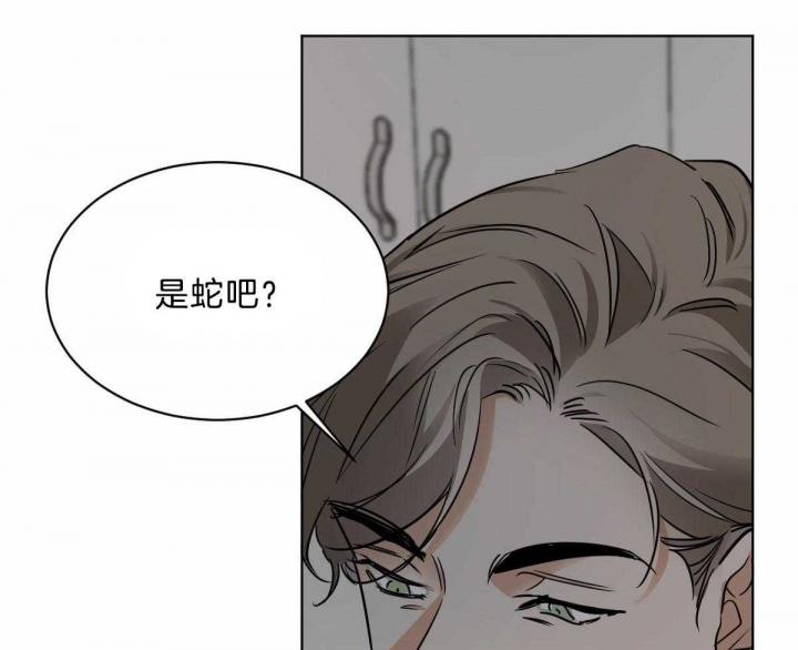 冷血动物合集漫画,第43话1图