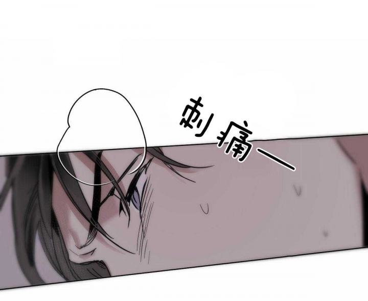 冷血动物合集漫画,第48话1图