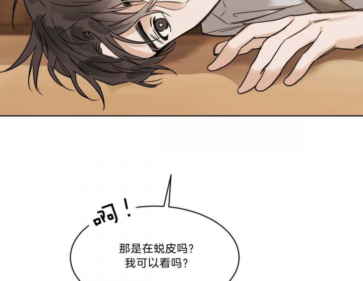 冷血动物合集漫画,第36话2图