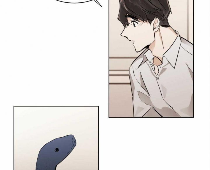 十大冷血动物排名漫画,第9话1图