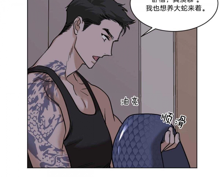 冷血动物合集漫画,第50话1图