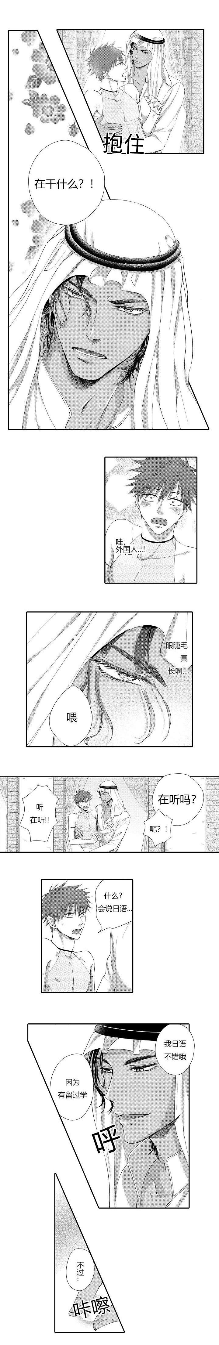 王子的骑士全文无删减免费阅读漫画,第3话2图