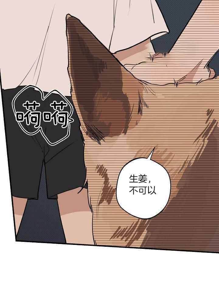 灵感之神叫什么名字漫画,第113话1图