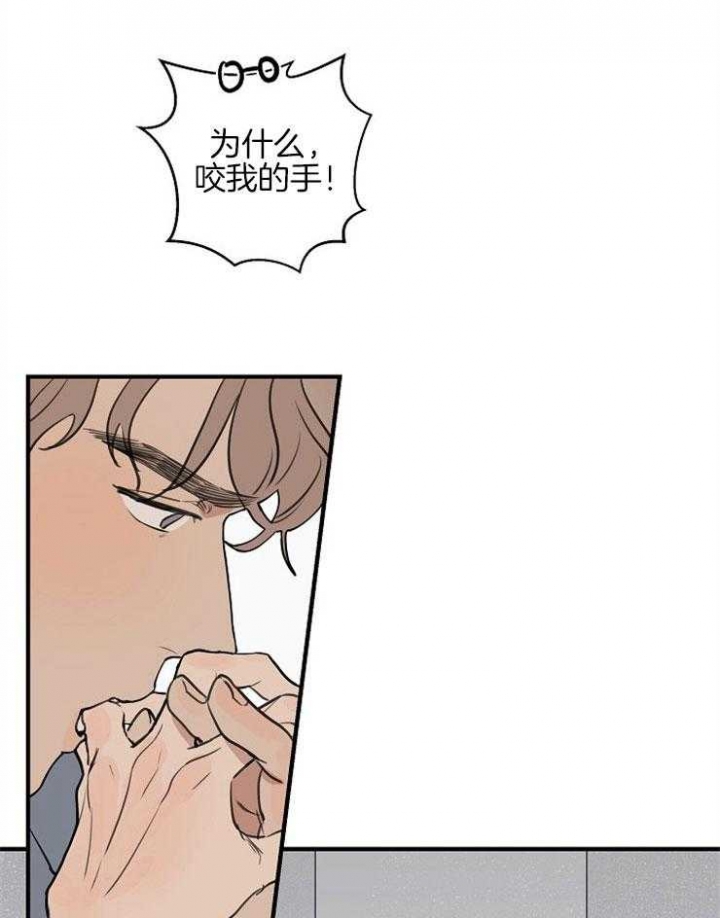 灵感之源企业管理咨询有限公司漫画,第48话2图