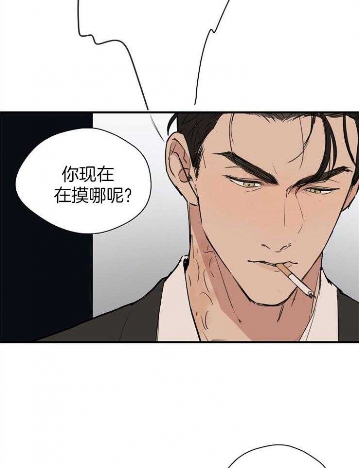 鸟山明赛亚人灵感之源漫画,第64话2图