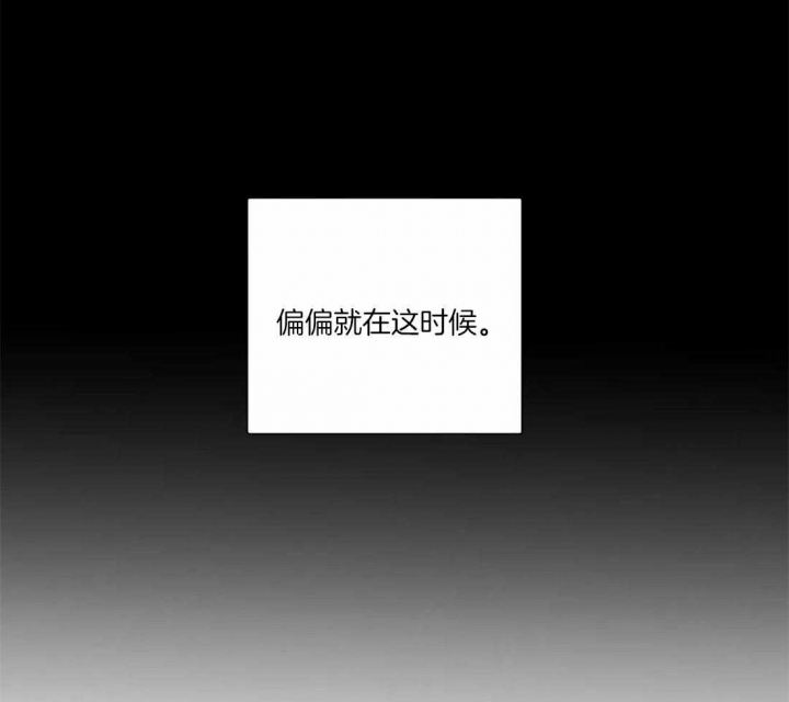 狂犬(第二季更新)漫画,第43话2图
