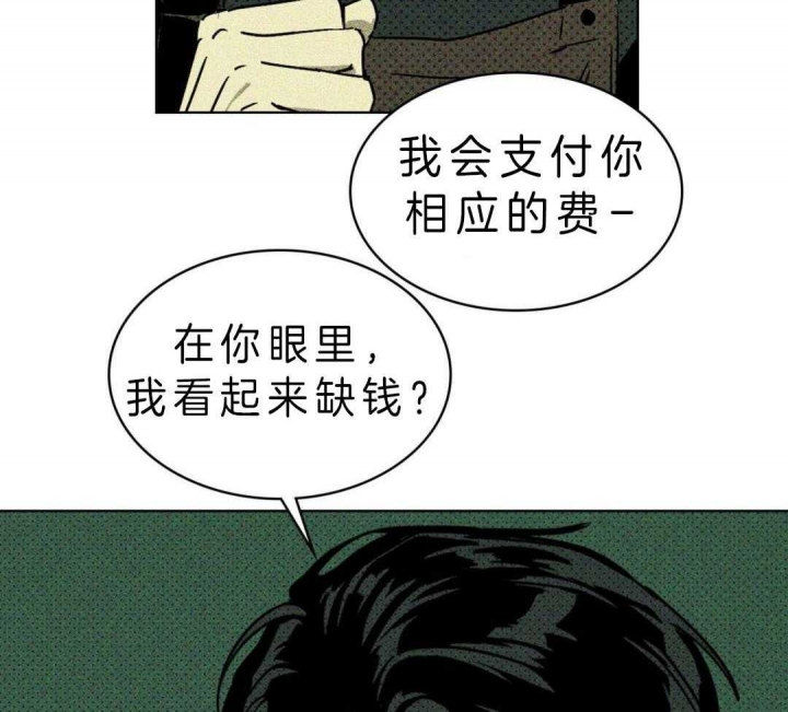 绿色镌像车在哪章漫画,第13话1图