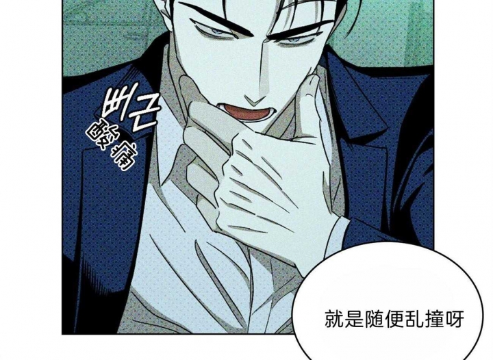 绿色镌像37章免费阅读漫画,第54话1图