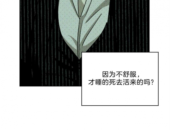 绿色镌刻漫画漫画,第66话2图