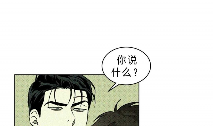 绿色镌像漫画免费下拉式画涯漫画,第5话2图