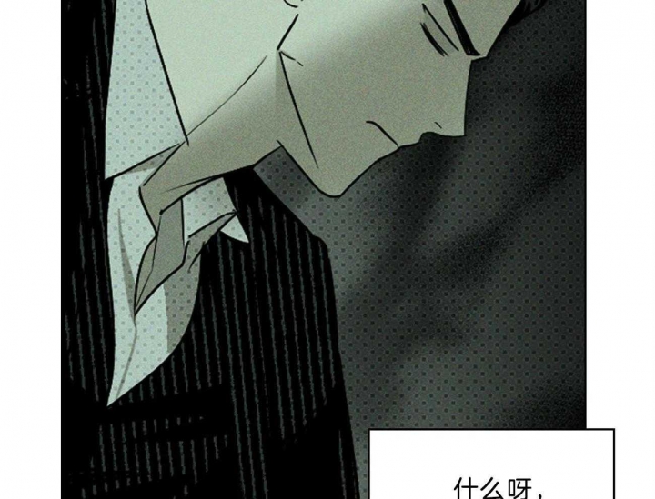 绿色镌像漫画免费下拉式非麻瓜漫画,第66话1图