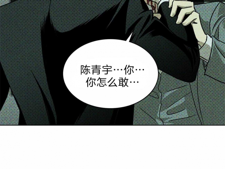 绿色镌像37章免费阅读漫画,第28话1图