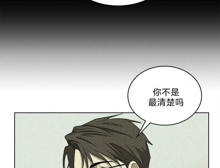 绿色镌像漫画免费版漫画,第64话2图