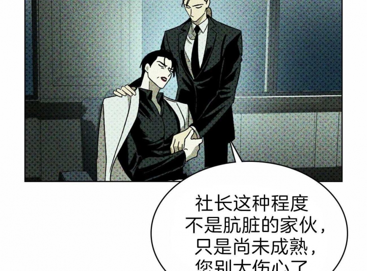 绿色镌像免费阅读漫画,第29话1图