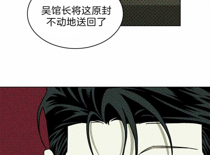 绿色镌像漫画完整版下拉版漫画,第29话2图