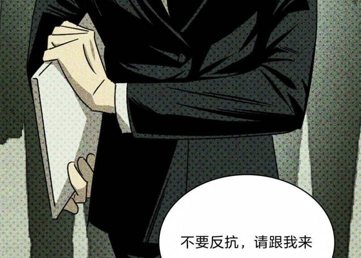 绿色镌像漫画免费下拉式非麻瓜漫画,第63话2图