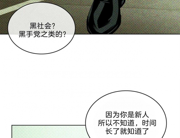 绿色镌像简介漫画,第58话1图