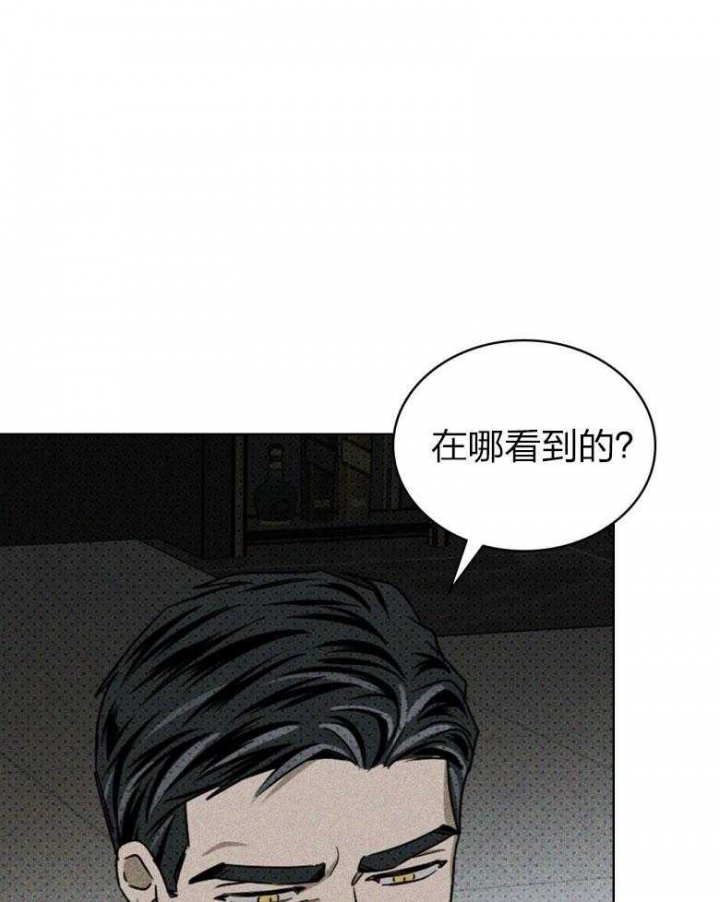 绿色镌像免费在线阅读漫画,第77话1图