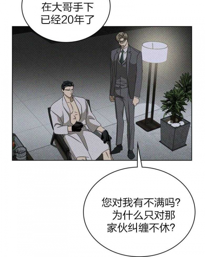 绿色镌像漫画非麻瓜漫画,第77话2图