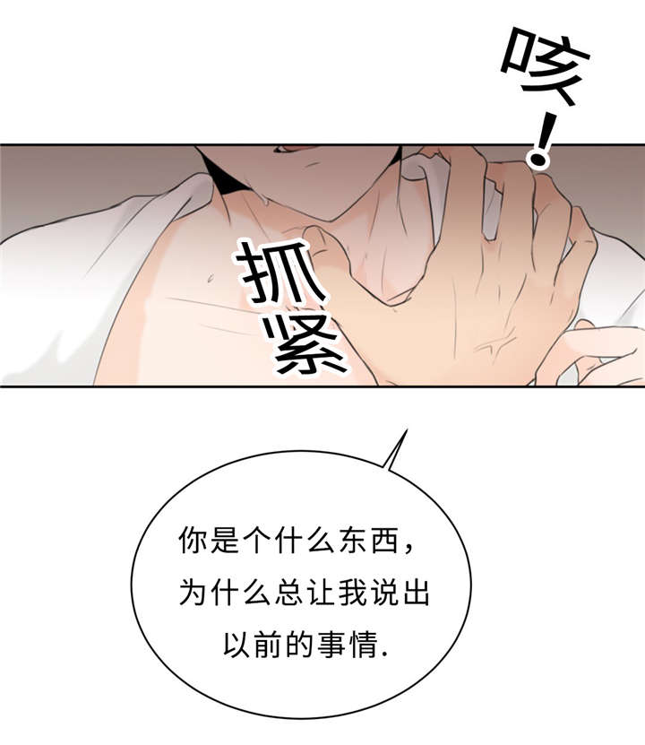 相似形态在线阅读漫画,第18话2图