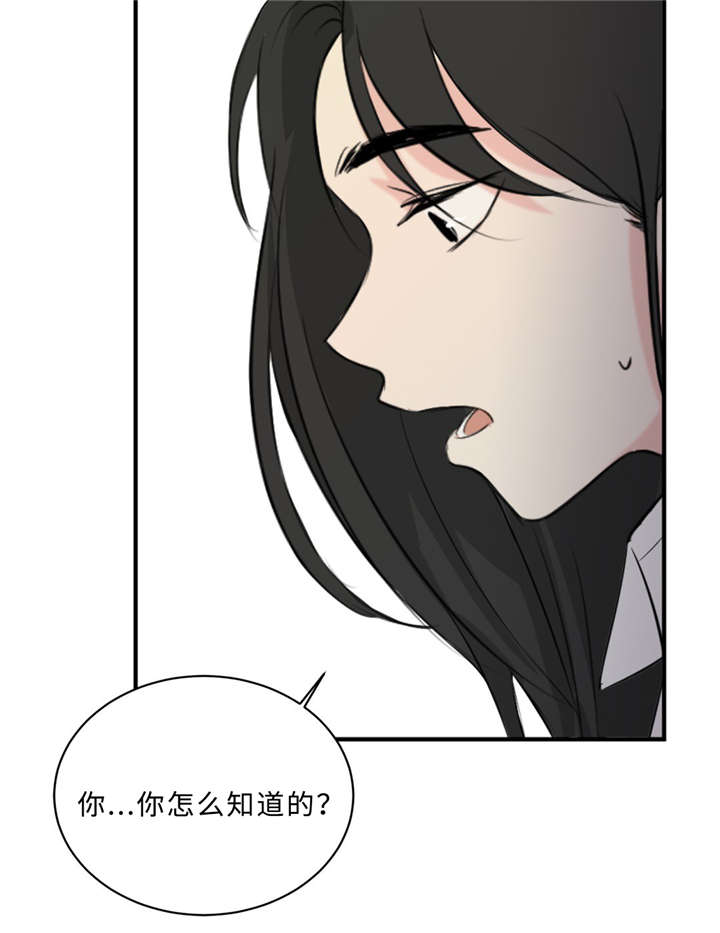 相似形比例线段的性质应用漫画,第30话2图