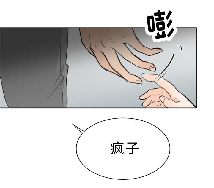 相似形态漫画,第9话1图