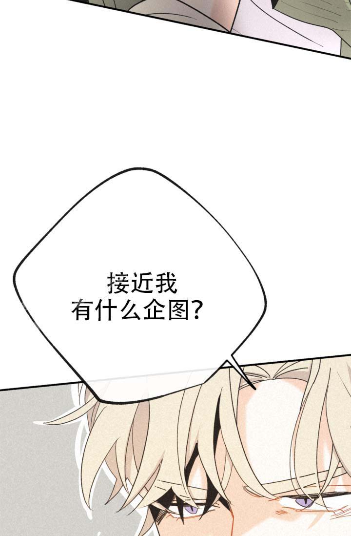 模拟装箱软件漫画,第11话2图