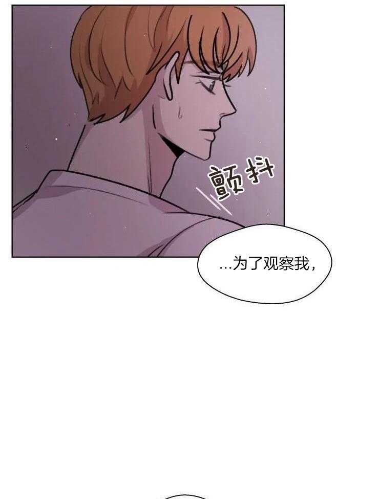 红楼梦人物关系手写图漫画,第35话2图