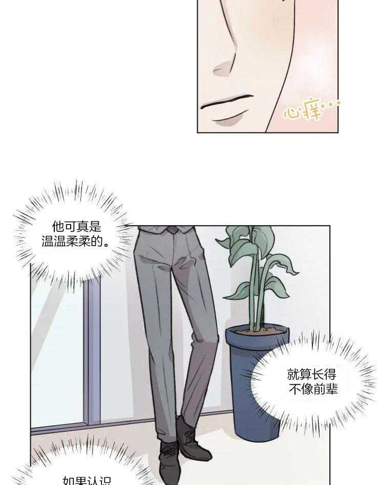 红楼梦人物关系手写图漫画,第11话2图