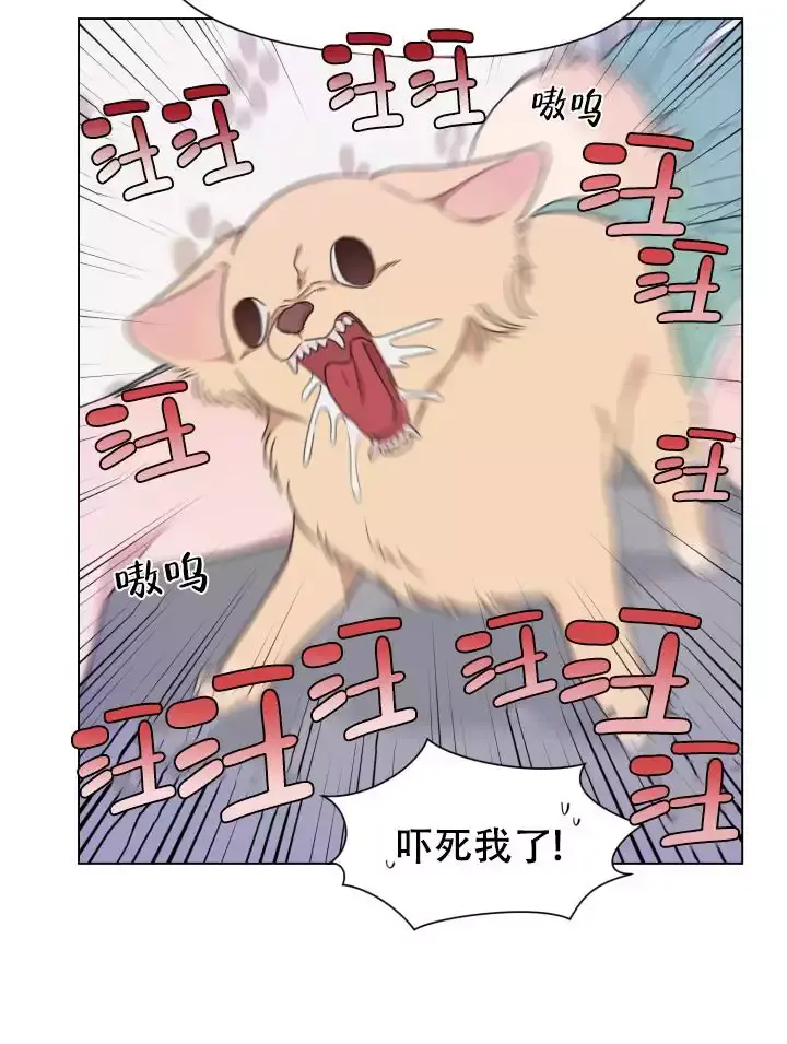 二手爱情作者叫什么漫画,第1话2图
