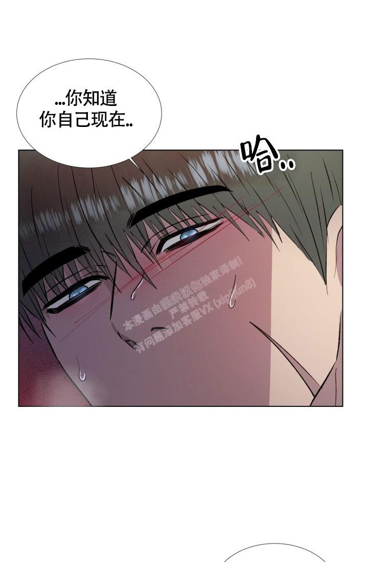 铁窗的影子免费漫画下拉式漫画,第5话2图