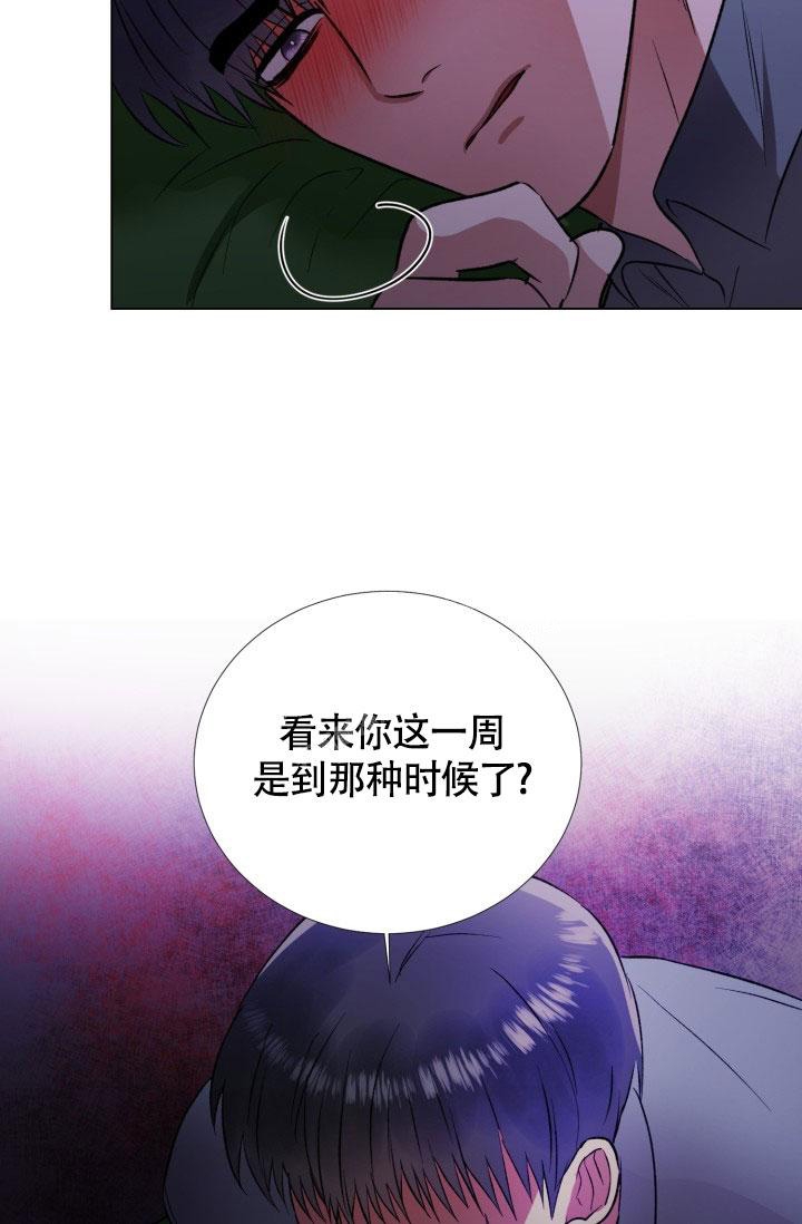 铁窗的影子漫画下拉式非麻瓜漫画,第14话1图