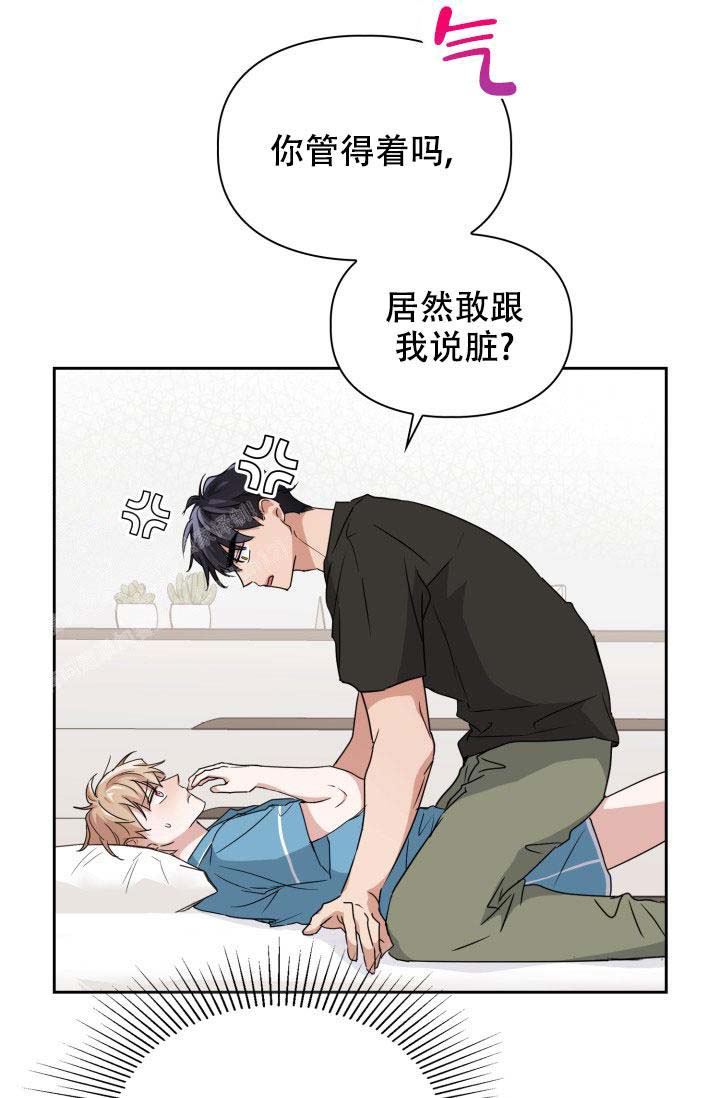 诱饵站和扑鼠器的区别漫画,第35话2图