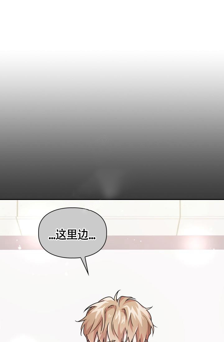 诱饵站和扑鼠器的区别漫画,第21话2图