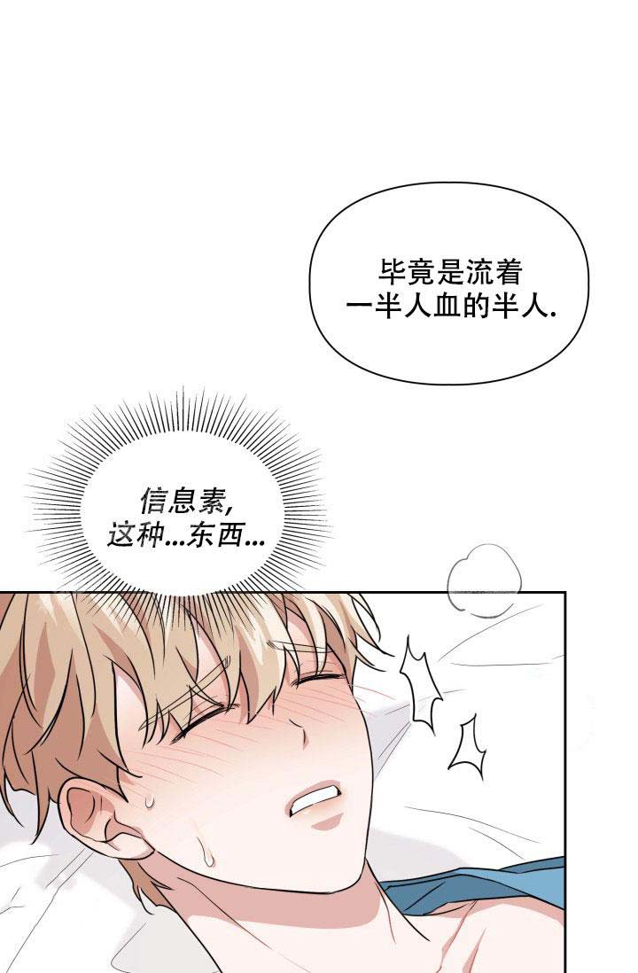 诱饵小说完整版漫画,第36话1图