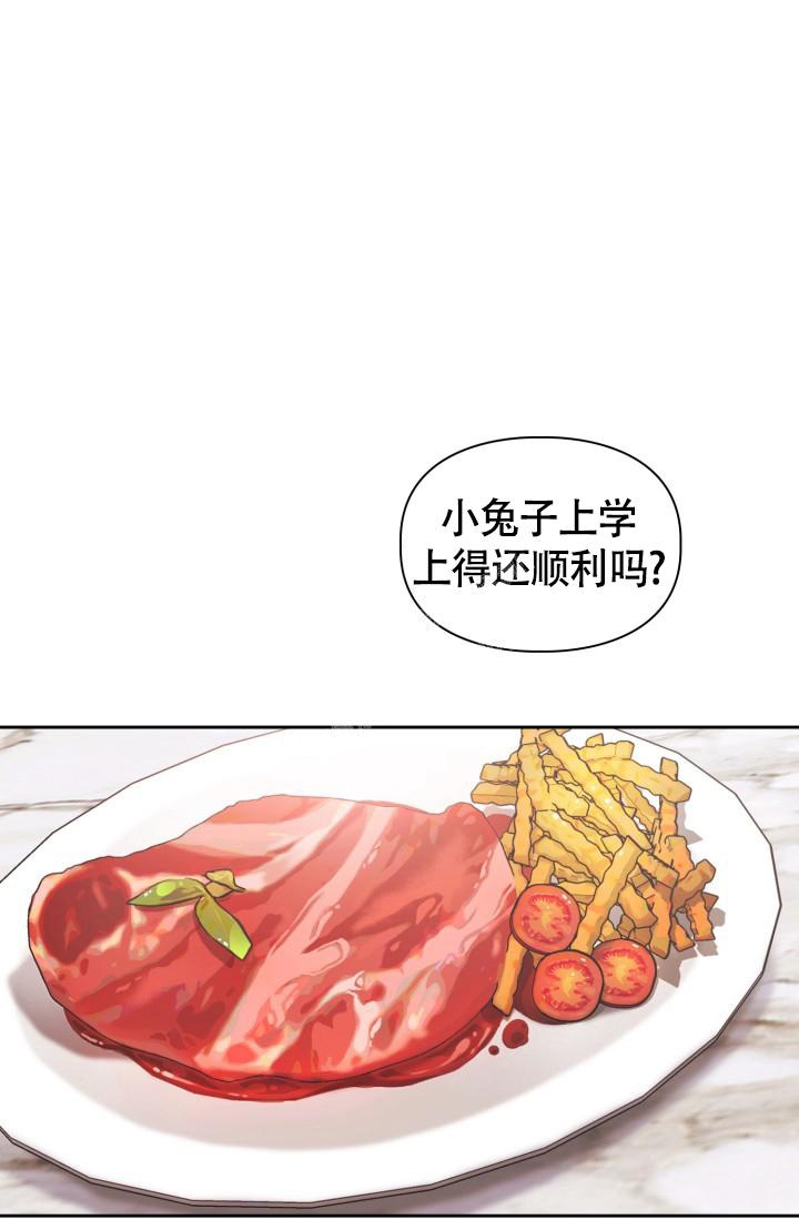 诱饵站和扑鼠器的区别漫画,第22话2图