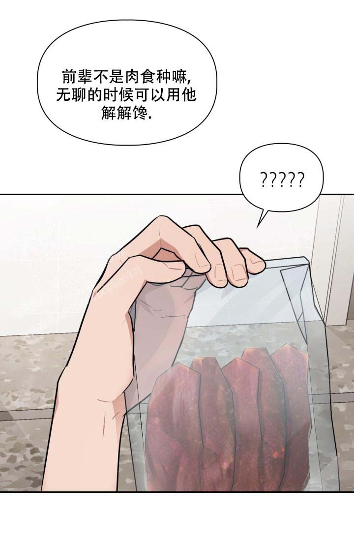 诱饵图腾漫画,第43话2图