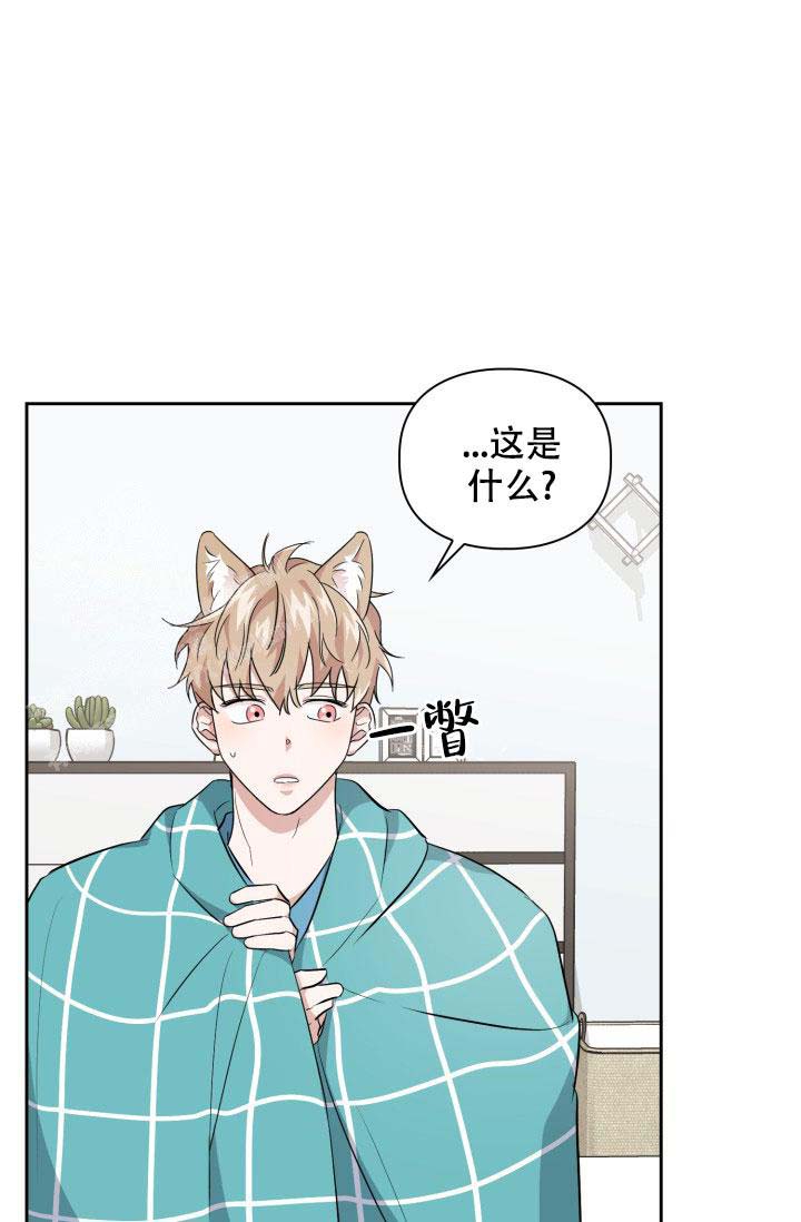 诱饵漫画,第37话1图