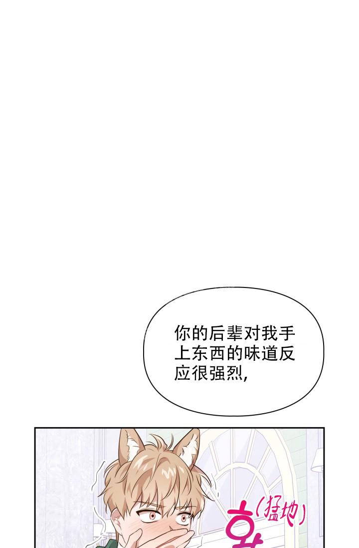 诱饵新娘漫画,第11话1图