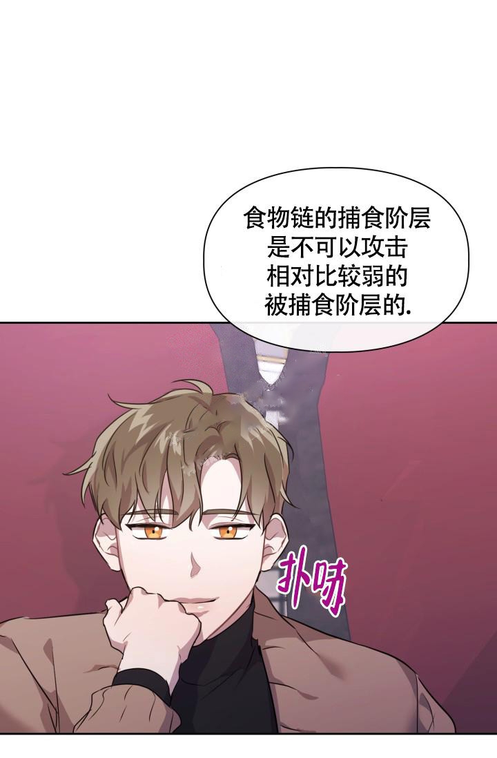 诱饵小说全文免费阅读陈崇州漫画,第8话2图