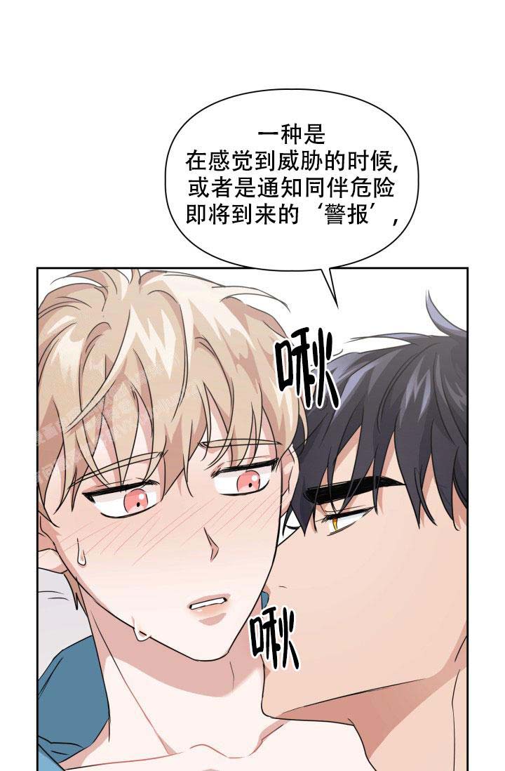 诱饵受体漫画,第36话1图