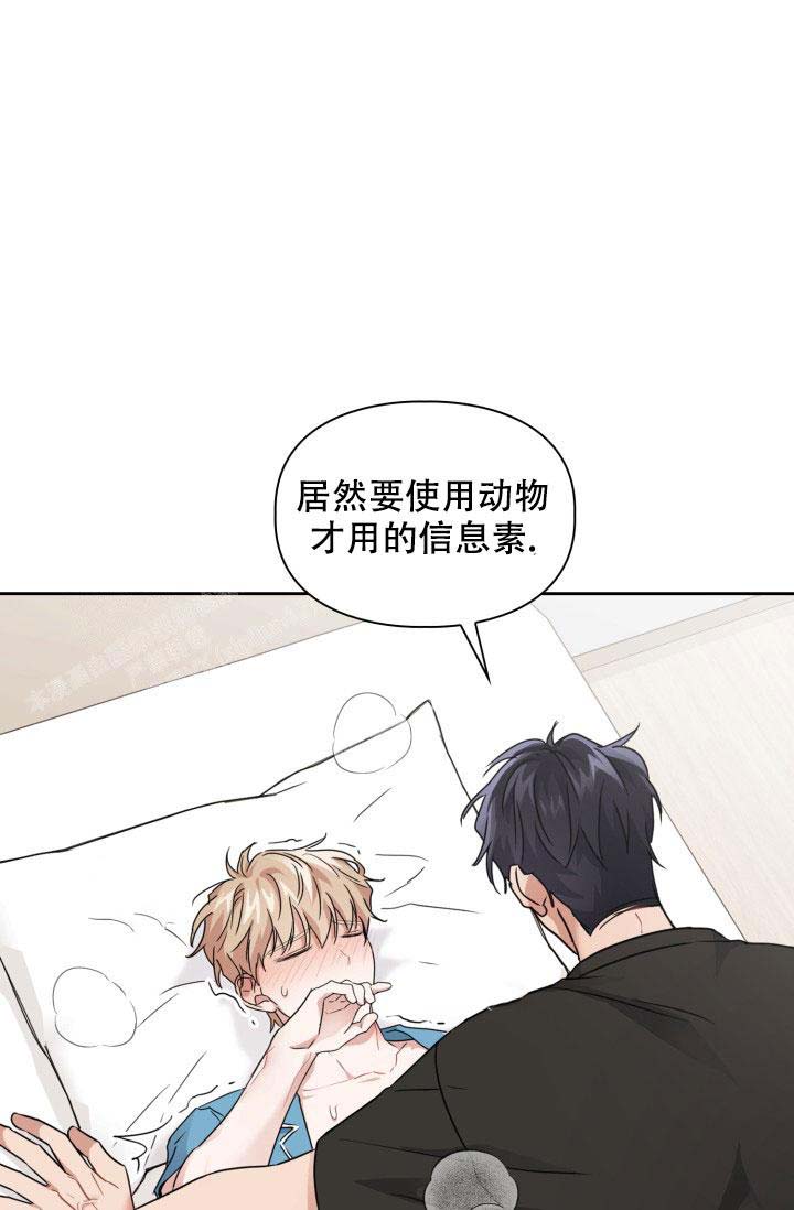 诱饵受体漫画,第36话2图