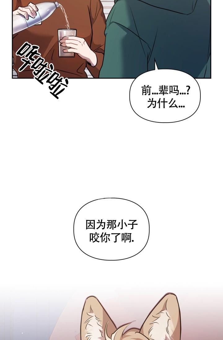 诱饵漫画,第7话2图